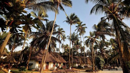 16 daagse safari Verrassend Tanzania & Zanzibar