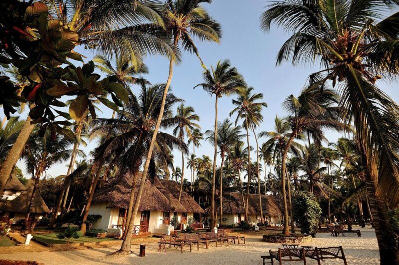 16 daagse safari Verrassend Tanzania & Zanzibar